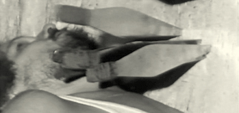 Vernunft03